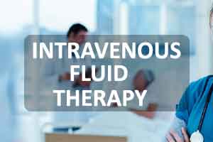 Practical Guidelines On Fluid Therapy Pdf